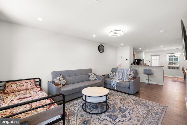 living room featuring hardwood / wood-style flooring