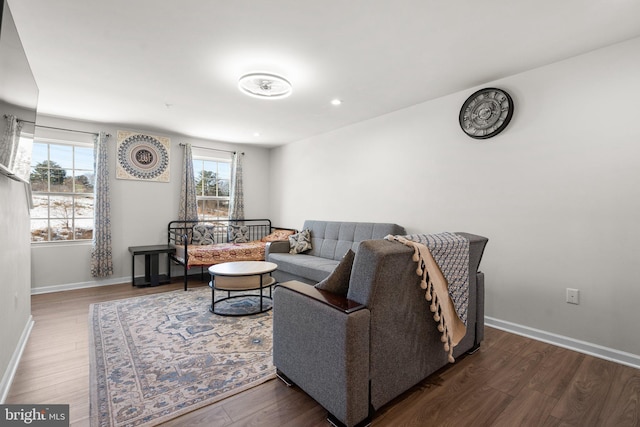 living room with wood-type flooring