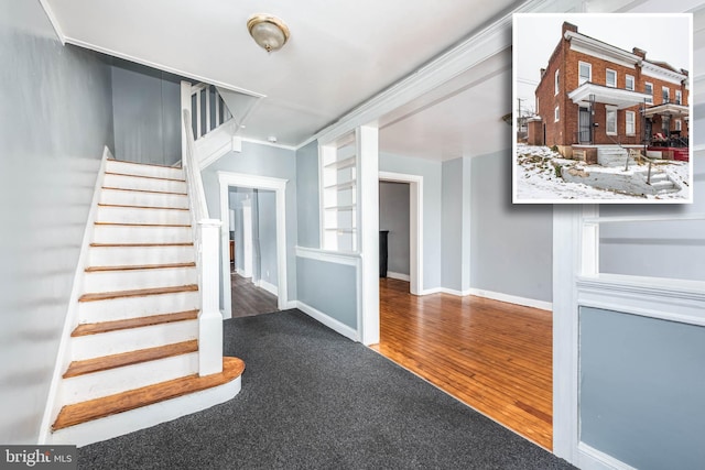 stairway featuring carpet floors