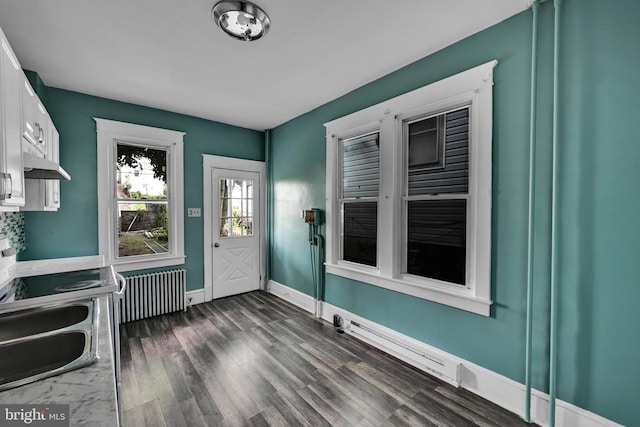 interior space featuring radiator and dark hardwood / wood-style flooring