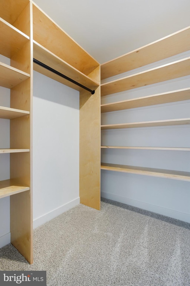 spacious closet featuring carpet flooring