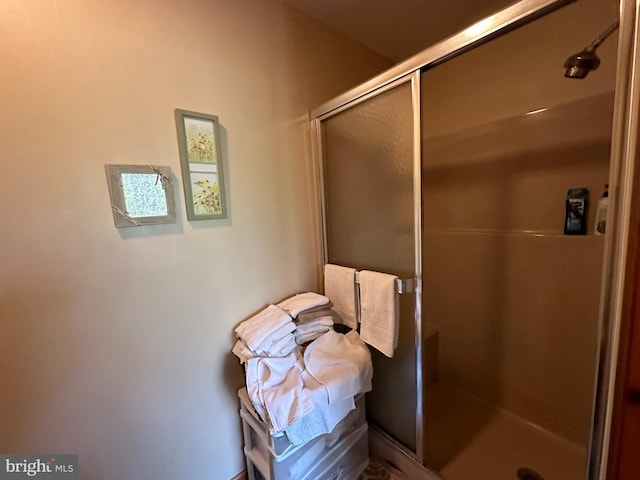 bathroom featuring a shower with shower door