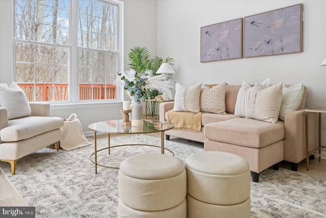 living room featuring hardwood / wood-style flooring