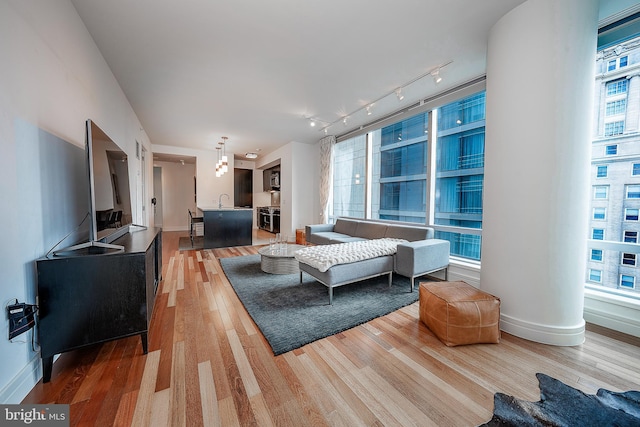 living room with sink and wood-type flooring