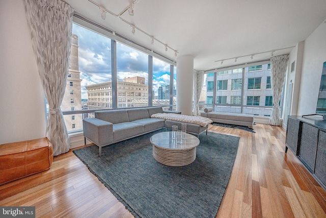 living room featuring hardwood / wood-style flooring