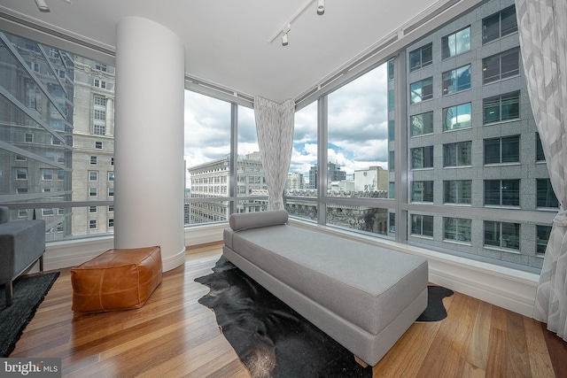 bedroom featuring track lighting, a wall of windows, and hardwood / wood-style floors