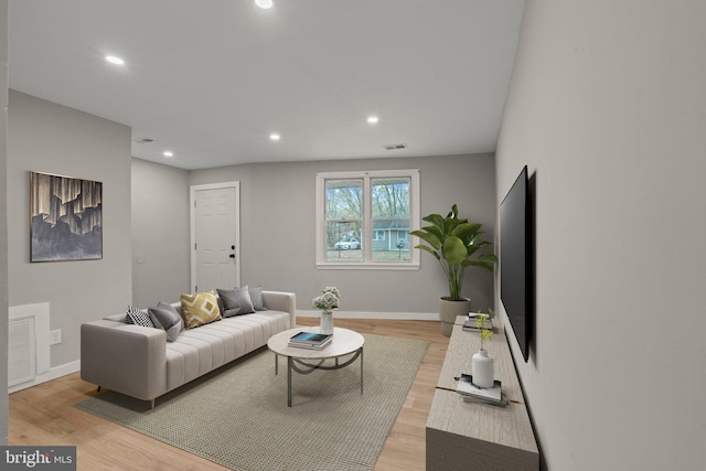 living room featuring light wood-type flooring