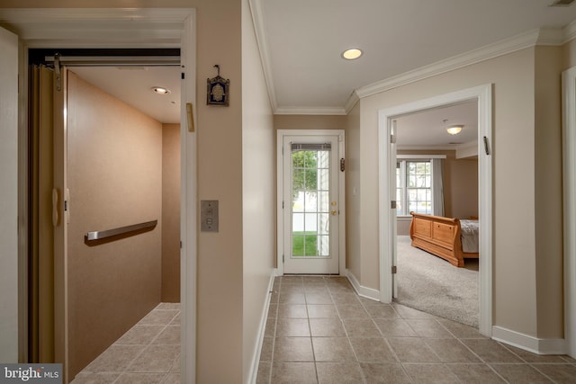 entryway featuring light carpet, ornamental molding, and elevator