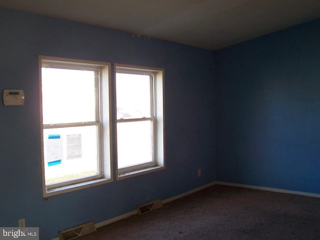 carpeted empty room featuring a wealth of natural light