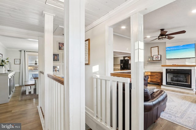 hallway featuring wood-type flooring and ornamental molding