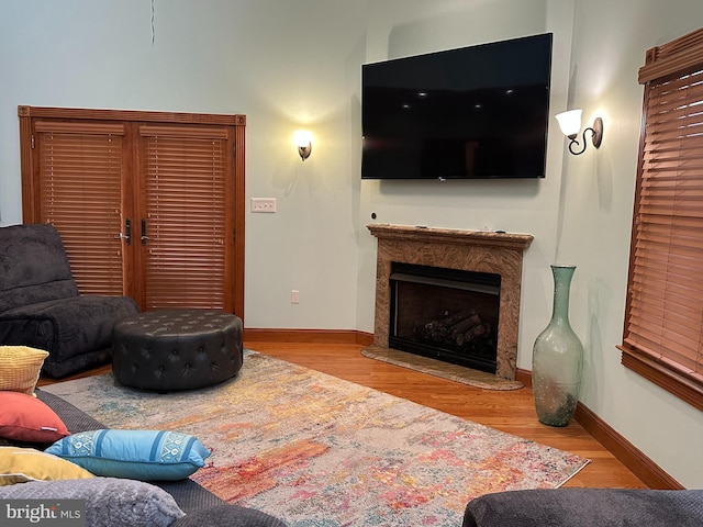 living room with a premium fireplace and light hardwood / wood-style flooring