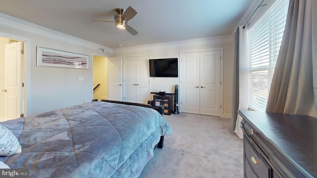 carpeted bedroom featuring multiple closets, crown molding, and ceiling fan