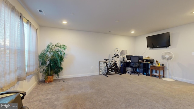 office with light colored carpet