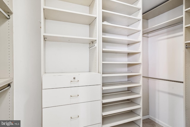 view of spacious closet