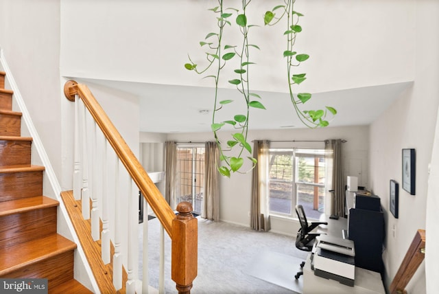 staircase featuring carpet floors