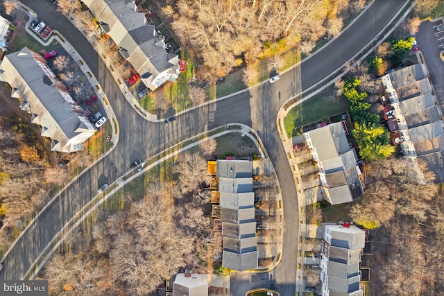 drone / aerial view