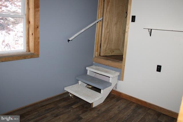 staircase featuring hardwood / wood-style flooring