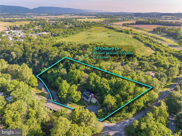 birds eye view of property featuring a mountain view