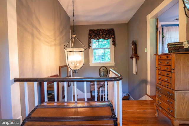 staircase with hardwood / wood-style flooring