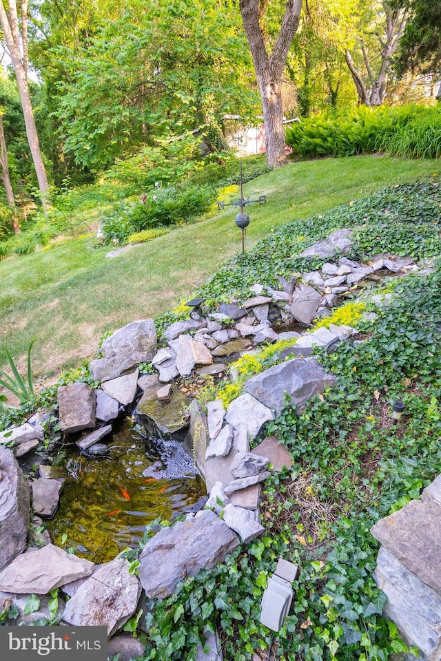 view of yard featuring a garden pond