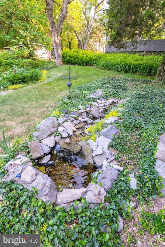 view of yard with a small pond