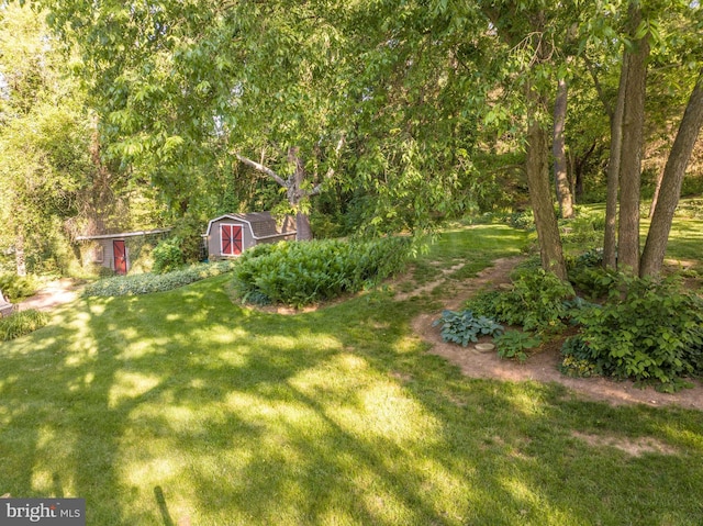 view of yard featuring a shed