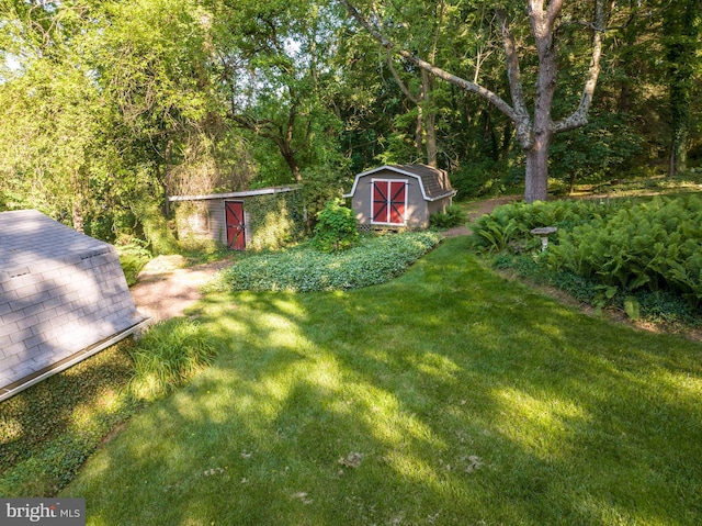 view of yard featuring a storage unit