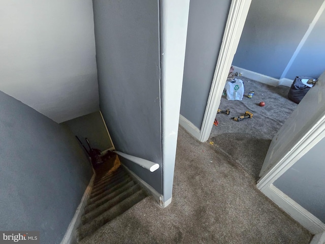 staircase featuring carpet and lofted ceiling