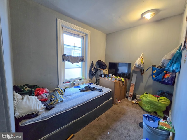 bedroom with carpet flooring