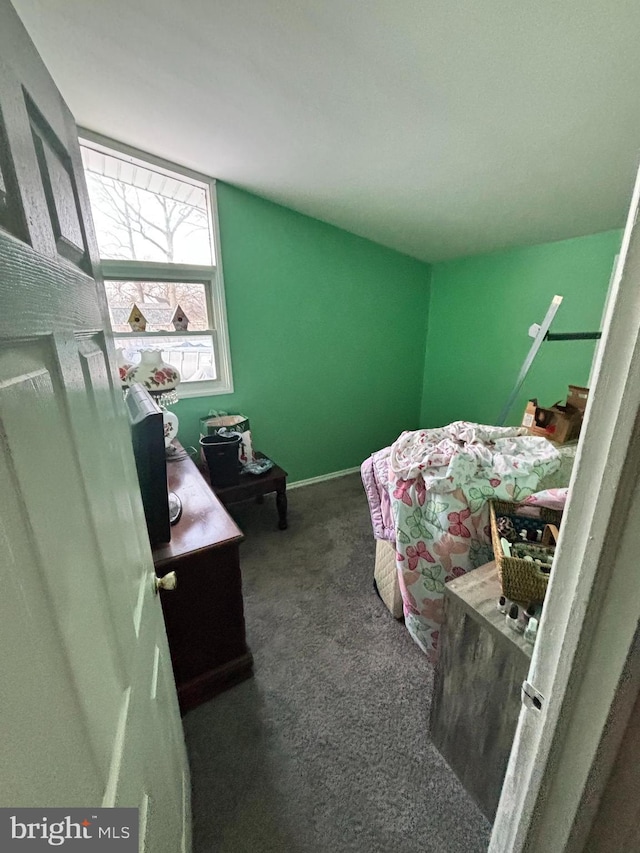 bedroom featuring dark carpet