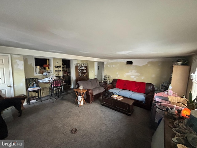 living room featuring carpet