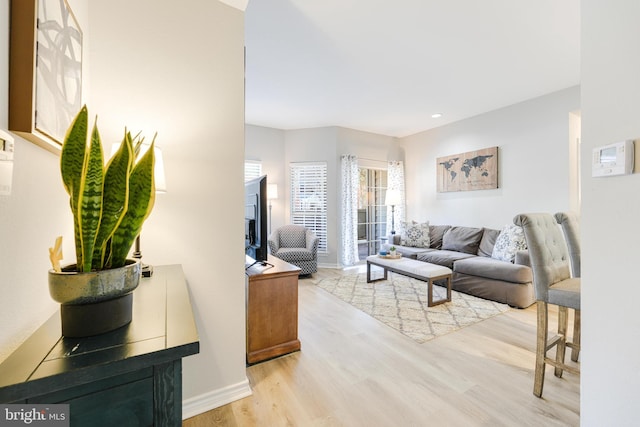 living room featuring light hardwood / wood-style flooring