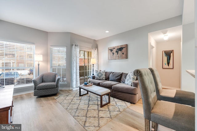 living room featuring a healthy amount of sunlight and light hardwood / wood-style flooring