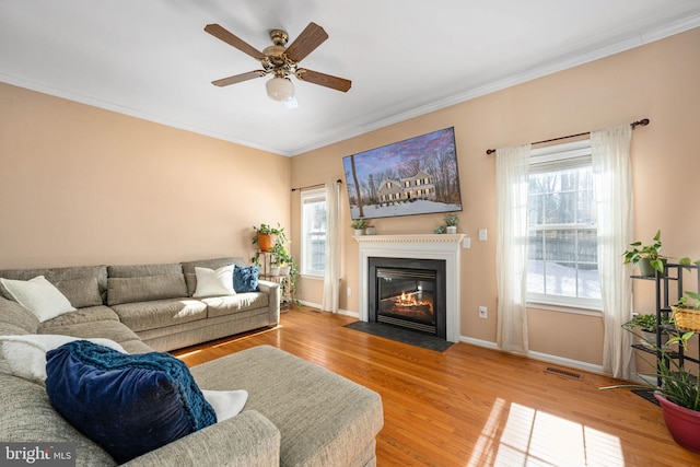 living room featuring ceiling fan, hardwood / wood-style floors, ornamental molding, and a wealth of natural light