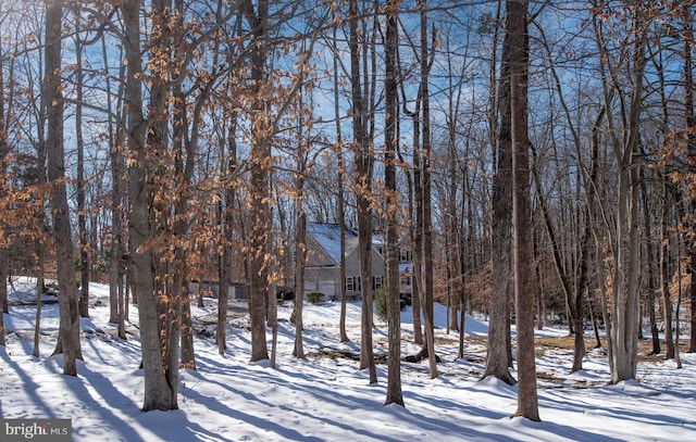 view of snowy yard