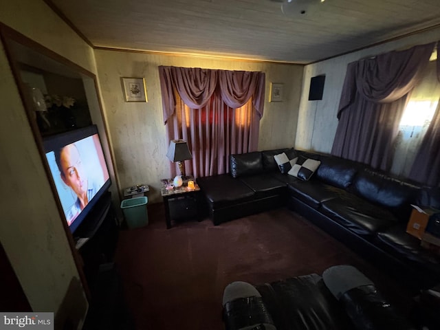 living room with carpet floors