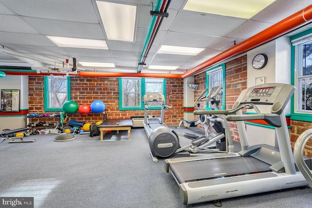 exercise room featuring a paneled ceiling, brick wall, and carpet flooring