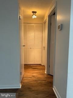 hall featuring wood-type flooring