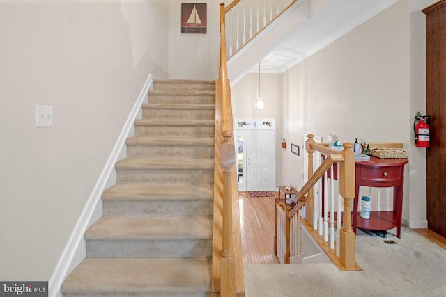 stairs with carpet floors