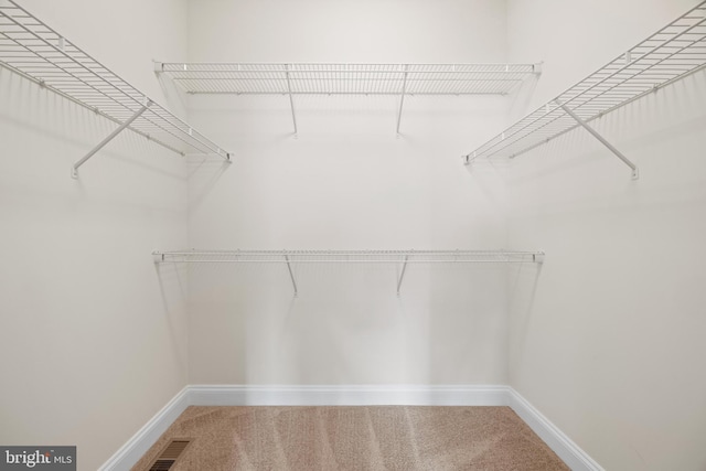 spacious closet featuring carpet floors and visible vents