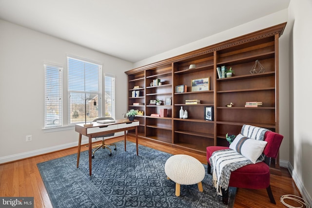 office with baseboards and wood finished floors