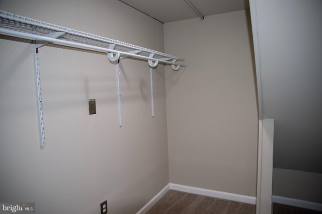 spacious closet with carpet floors