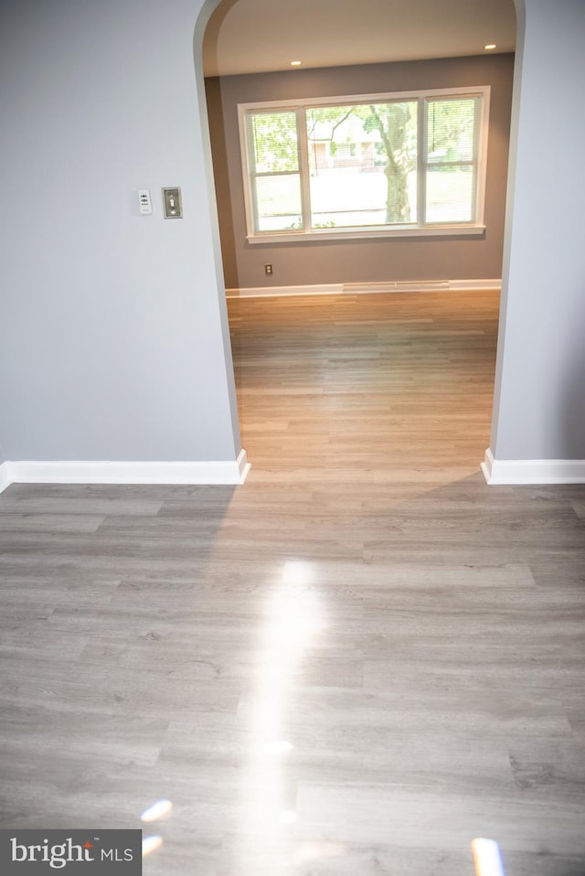 spare room featuring a healthy amount of sunlight and light hardwood / wood-style floors