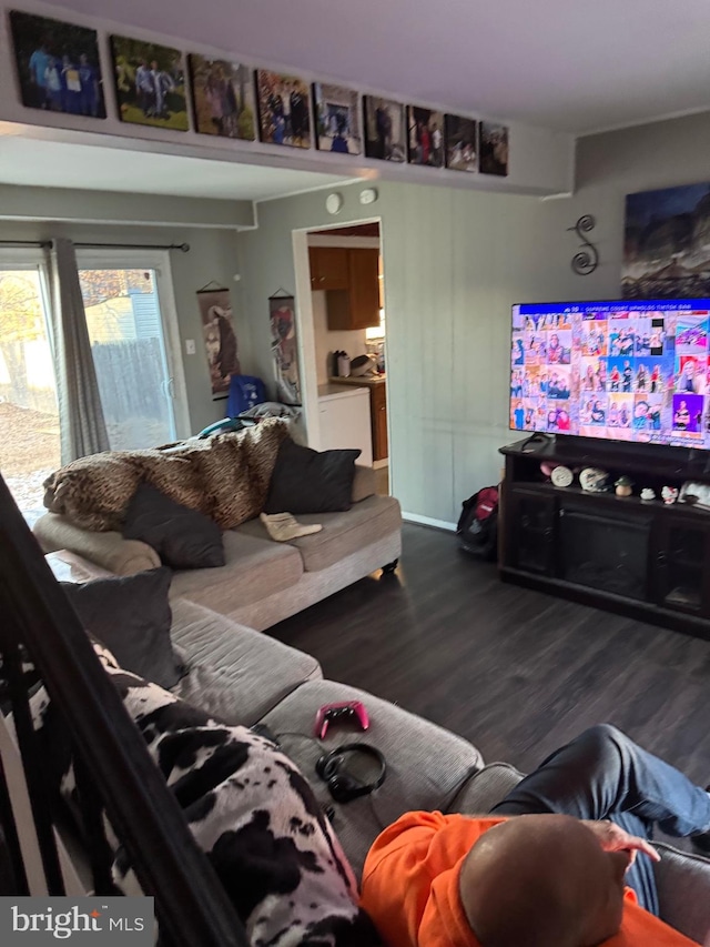 living room featuring wood-type flooring