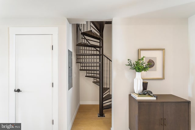 staircase featuring hardwood / wood-style floors and electric panel