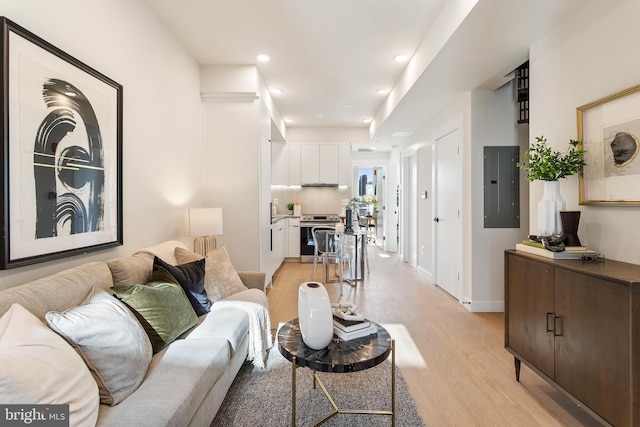 living room featuring light hardwood / wood-style floors and electric panel