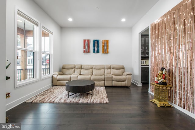 living room featuring dark hardwood / wood-style flooring