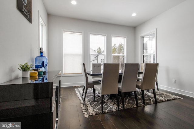 dining room featuring dark hardwood / wood-style flooring