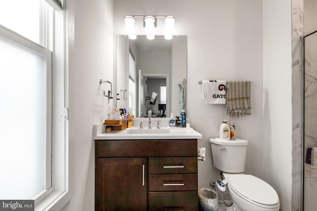 bathroom featuring vanity, toilet, a shower with door, and a wealth of natural light