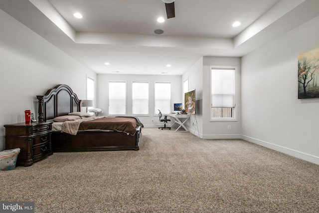 carpeted bedroom with a tray ceiling